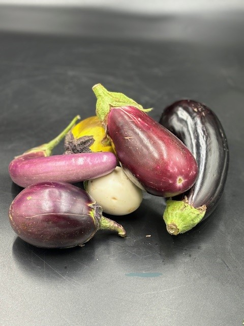 Aubergine